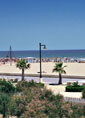 Malvarrosa and Arenas beaches are just minutes from the city centre and are easily accessible. Malvarrosa and Arenas beaches are just minutes from the city centre and are easily accessible.